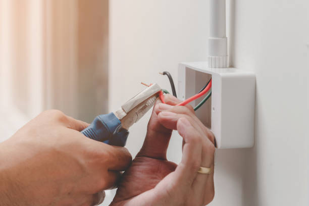 Best Electrical Maintenance Services  in Niwot, CO